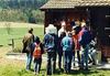 Bild von Der Rundgang